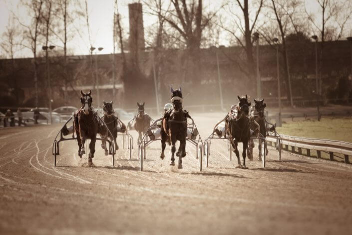Ett par hästar med sulky som tränar inför ett race i ATG